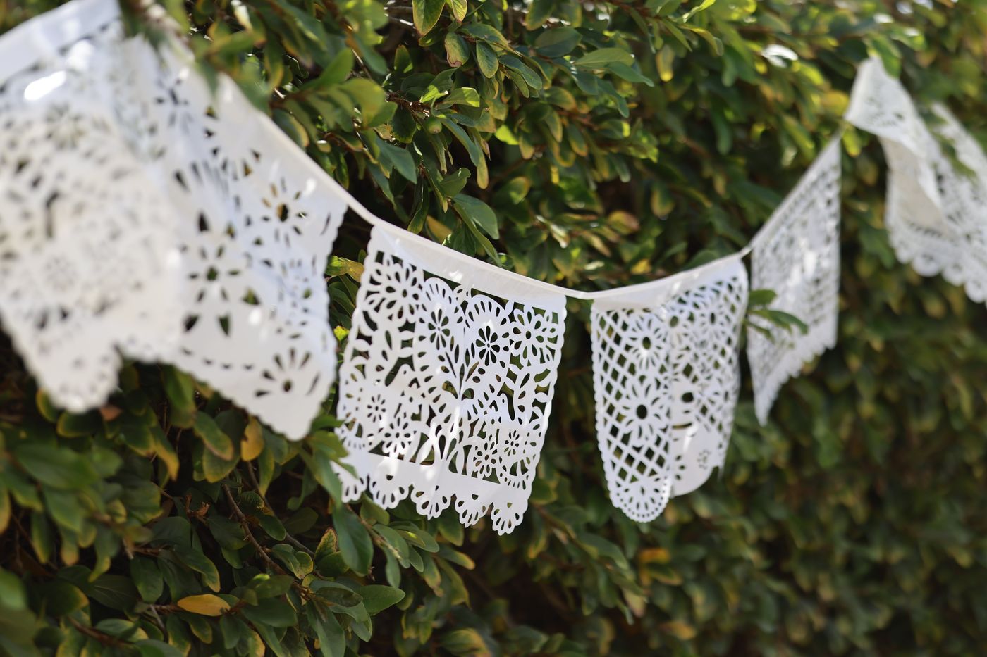 White papel picado strung across green hedges at Mothering the Mother.